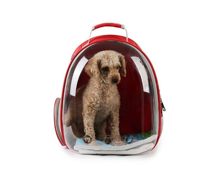 Transparent Pet Carrier Backpack for Cat Kitten Doggie Puppy-RED Carousel 5