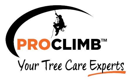 Tree Care Service in Auckland (Pro Climb) Carousel 1