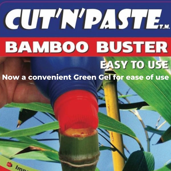 CUT'N'PASTE - BAMBOO BUSTER WEEDKILLER GEL - 450ML APPLICATOR BOTTLE Carousel 2