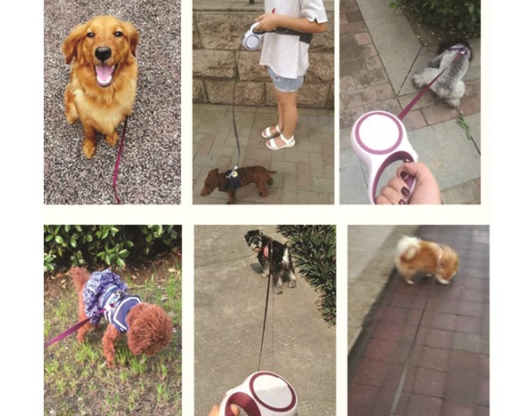 Retractable Dog Lead NZ Clearance Carousel 2