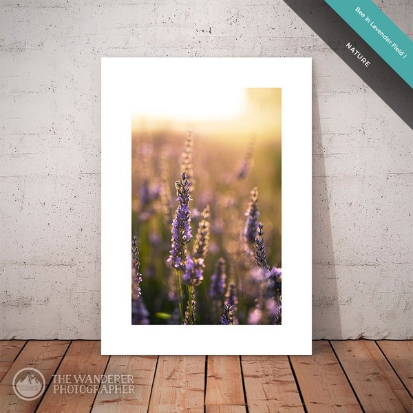 Nature | Bee in Lavender Field I (Fine Art Print, A4) Carousel 1