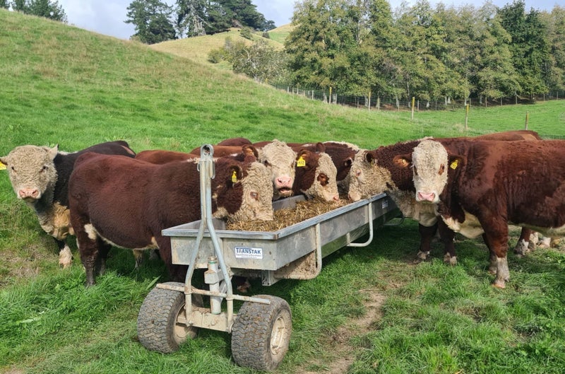 Feed Trough Trailer 5.4 metre - Transtak628647380349471112