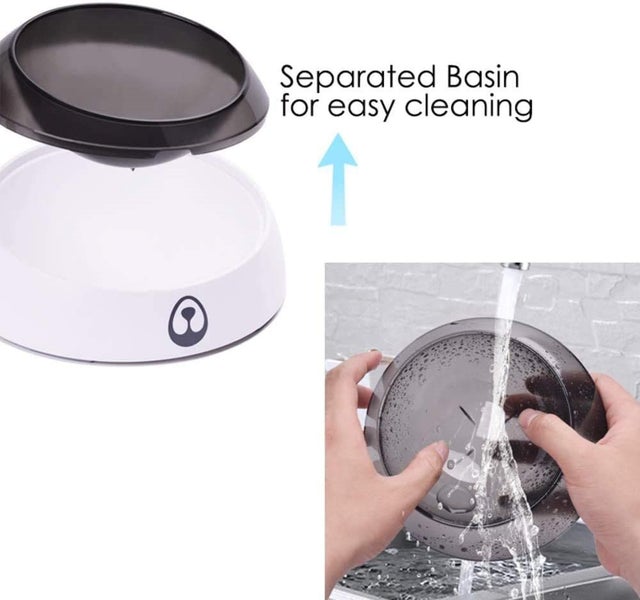 Dog Bowl New Carousel 8