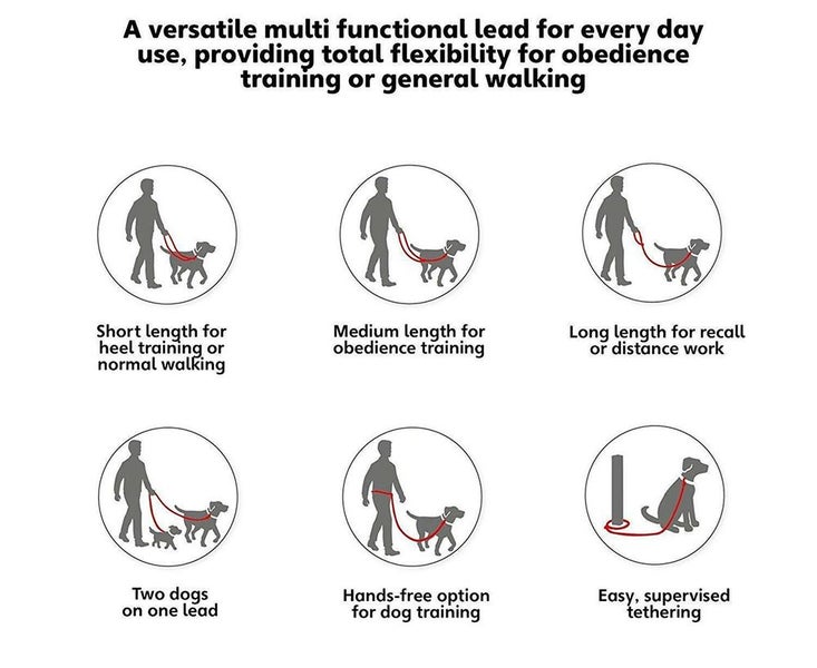 HALTI Dog Training Lead Large Carousel 2