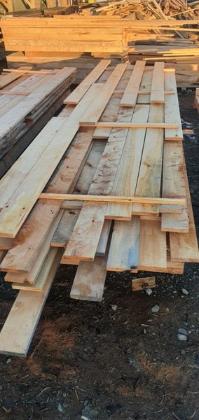 150x25 Macrocarpa Timber Carousel 2