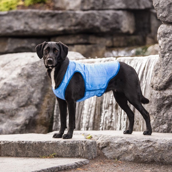 DOG COAT COOLING ELASTO-FIT ICE VEST - COOLING VEST - 61cm Carousel 1
