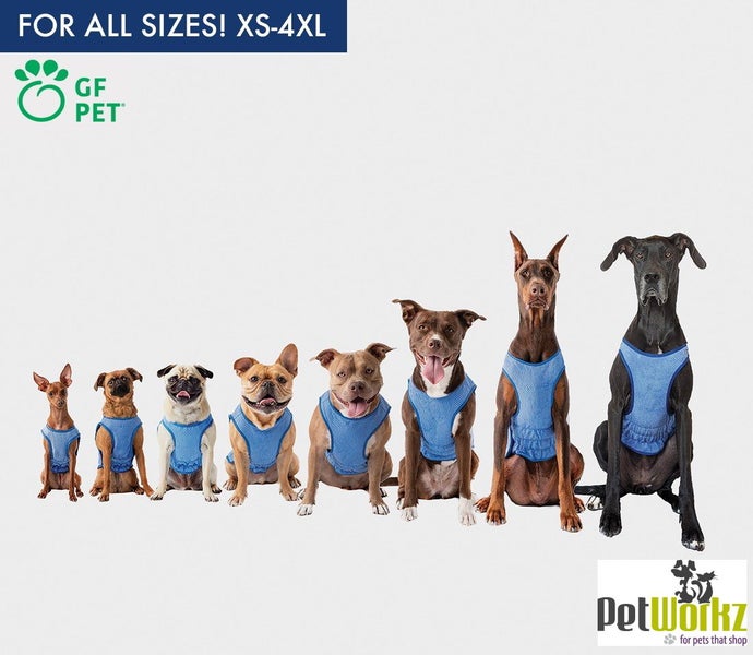 DOG COAT COOLING ELASTO-FIT ICE VEST - COOLING VEST 53cm Carousel 2