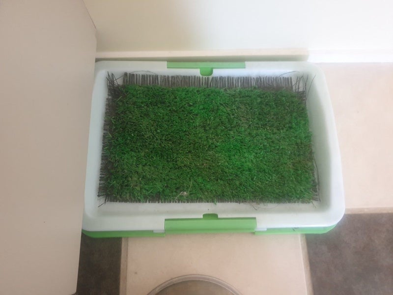 Dog toilet Carousel 1