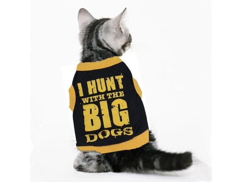 Summer Pet Cat Clothes Coat Jacket For Cats 48A1 Carousel 1