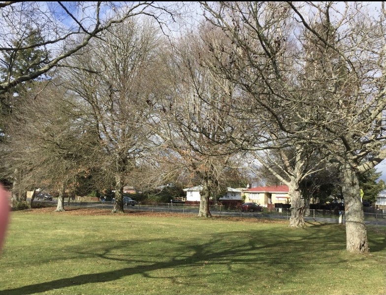 Development Site Genuinely for Sale – TOKOROA Development Site Genuinely for Sale – TOKOROA