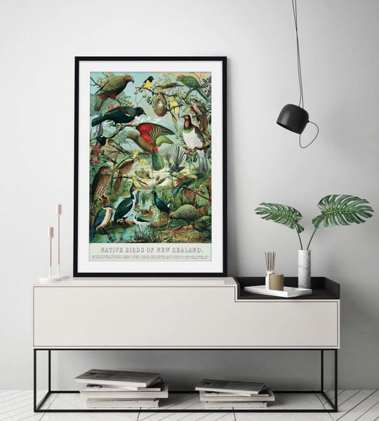 Native Birds of New Zealand Art Print Carousel 11