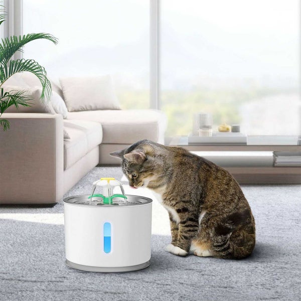PTN NEW Cat Water Fountain Sale Sale Carousel 14