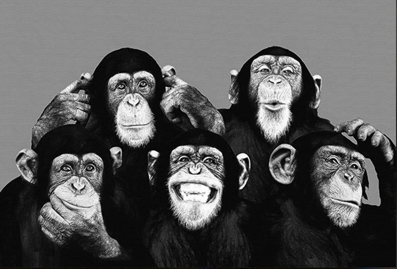 Free Shipping Canvas Art - Banksy Art - Happy Monkey Carousel 1