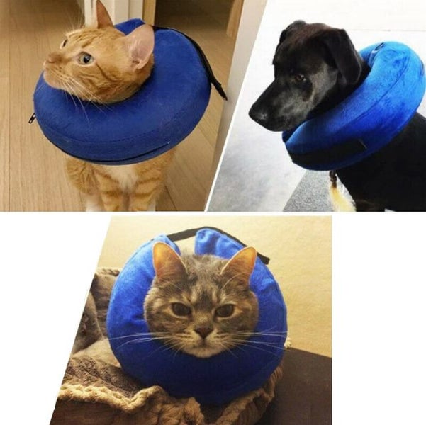 Inflatable Collar Pet Protective Carousel 3