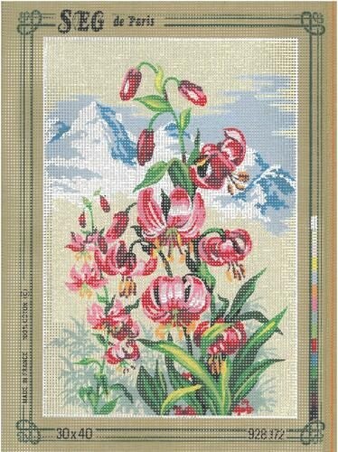 SEG De Paris Tapestry Canvas 30X40 #172 Carousel 1