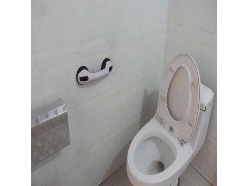 Safe Grip Shower Handle Bathroom Suction Cup Grab Bar For Disabled Support Carousel 1