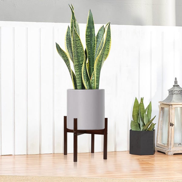 Plant Stand New Carousel 1