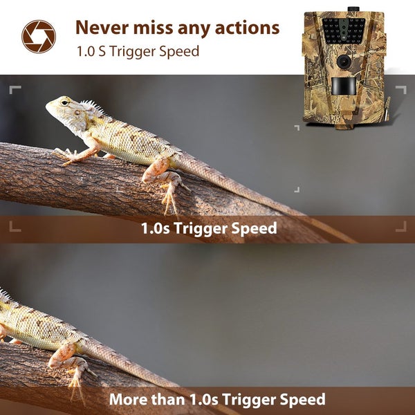 12MP Wildlife Trail Camera Outdoor Waterproof Night View Hunting Camera with IR Carousel 6