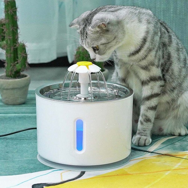 PTN NEW Cat Water Fountain Sale Sale Sale Carousel 16