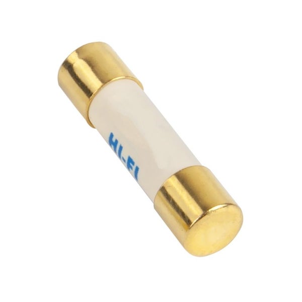 Silver/Gold Audiophile Slow Blow Fuse - 5mm x 20mm Carousel 1