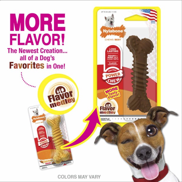 Nylabone Power Chew Textured Dog Bone Chew Toy-Small/Regular Carousel 2