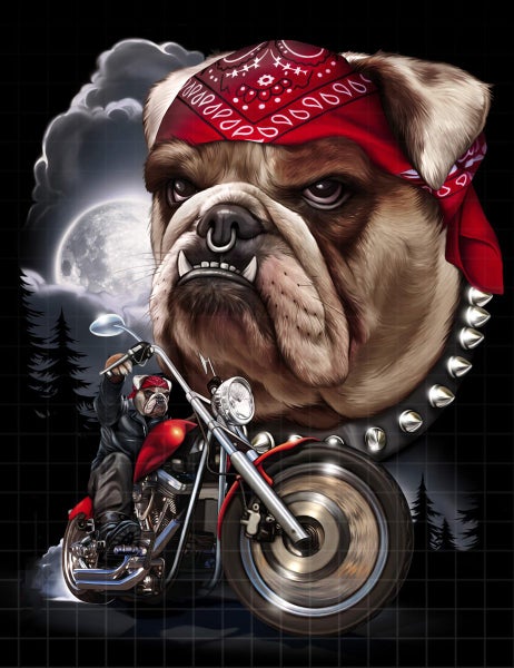 Free Shipping 1 Panel Canvas Art - Bulldog gangster Carousel 1