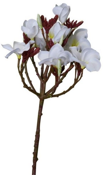 Plumeria Spray (Frangipani) / White Carousel 2