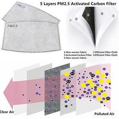 Replacement Mask PM2.5 Filters x 10 Pack Carousel 2