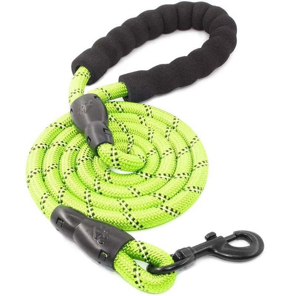 Dog Leash with Comfortable Padded Handle and Reflective Threads -Green Carousel 1