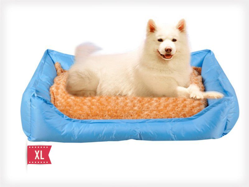 Extra Large Dog Bed Waterproof - (Blue) 100 x 80cm Carousel 1