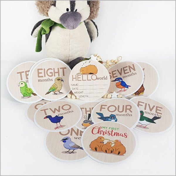 Milestone Discs Set - NZ Birds (15 Fabric Stickers) Carousel 1