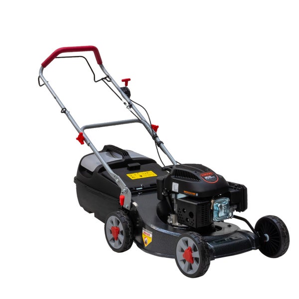 Lawn Mower 19in 5.5hp Self-Propelled Carousel 1