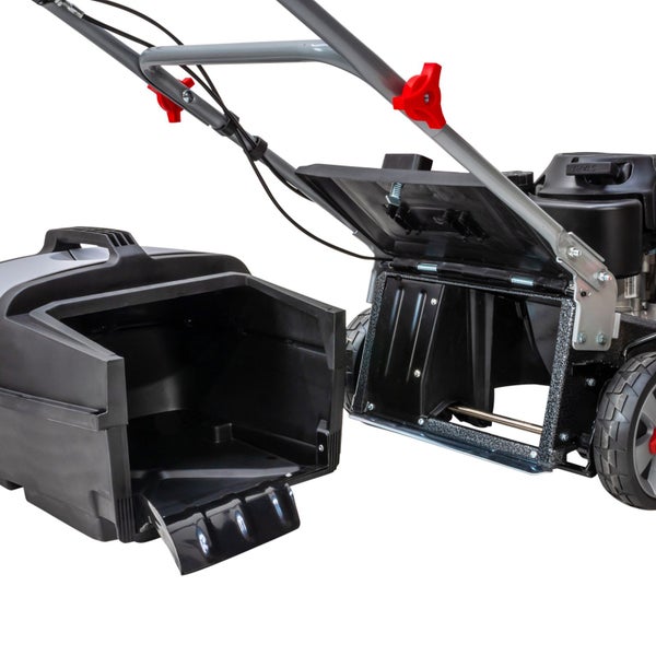 Lawn Mower 19in 5.5hp Self-Propelled Carousel 2