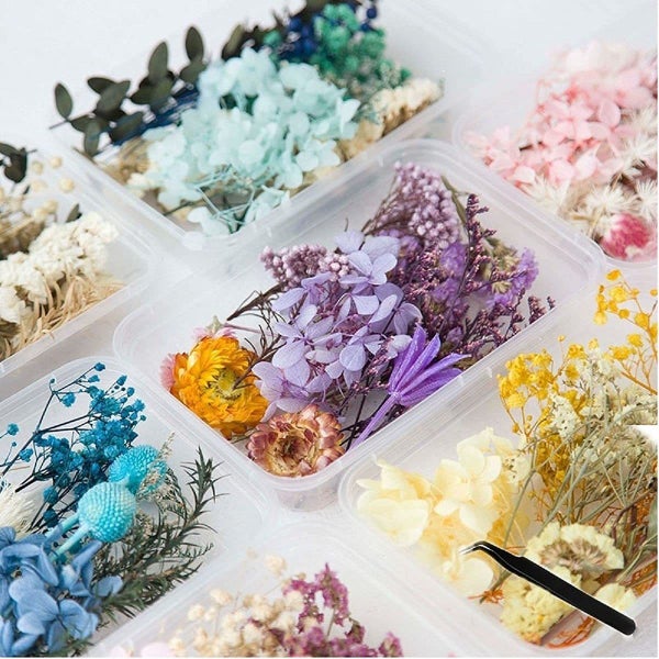 1 Box Natural Dried Flower Dry Plants Real Flowers Aromatherapy Candle  Epoxy Resin Necklace Jewelry DIY Making Craft Accessories
