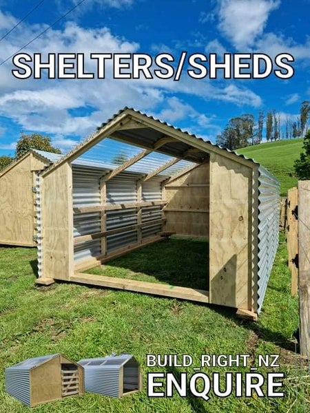 Animal Shelter , Sheds Carousel 1