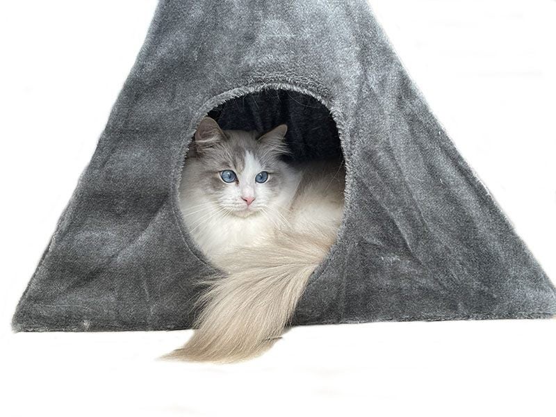 **Brand New Cat Camp with Scratching Board **Height 50cm** Carousel 6