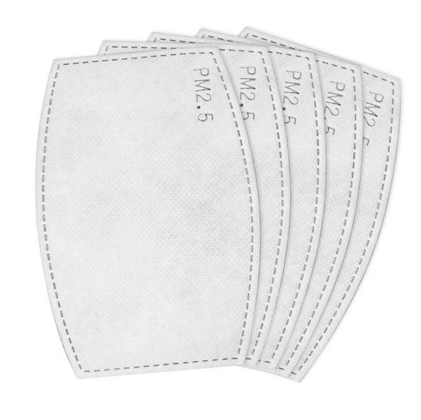 5pcs PM2.5 Face Mask Filter Carousel 1