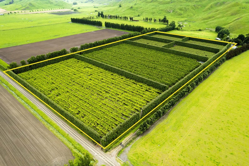 Wairoa Rural properties Trade Me Property