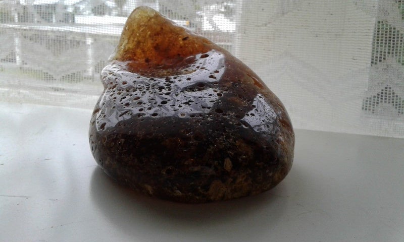 Kauri Gum 10 Insect Inclusions Time Capsule. Carousel 1