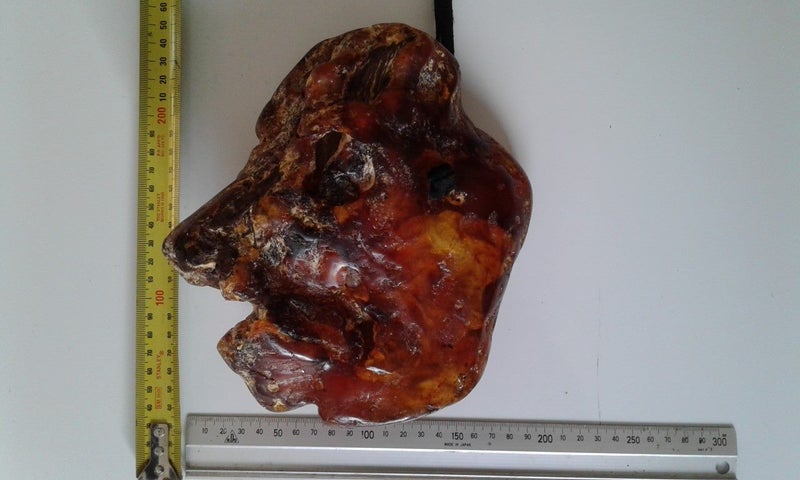 Boris The Kauri Gum Pig 894 Grams. Carousel 2