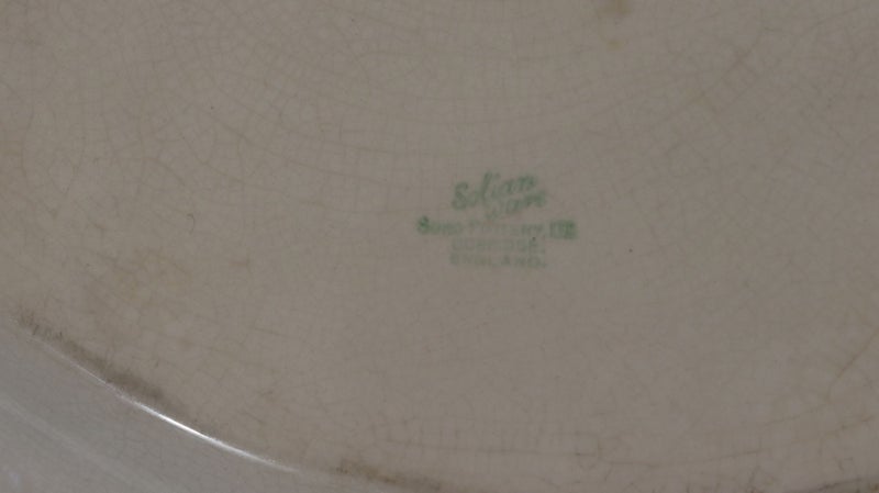 Large Antique Oval Serving Platter Carousel 2