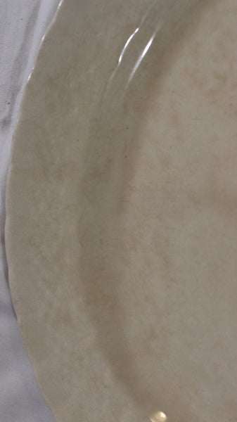 Large Antique Oval Serving Platter Carousel 4