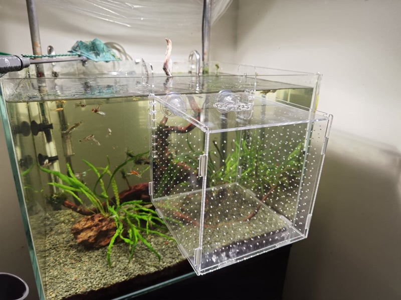 Acrylic fish Tank Breeding Isolation Box For Hatchery Incubator 20*20*20cm Carousel 1