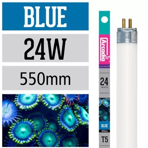 Clearance!! Arcadia T5 Marine Blue 24W 550mm Carousel 2