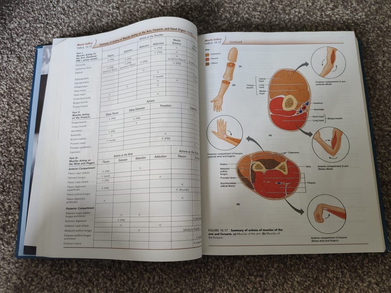 Human Anatomy & Physiology Sixth edition (international) Carousel 2