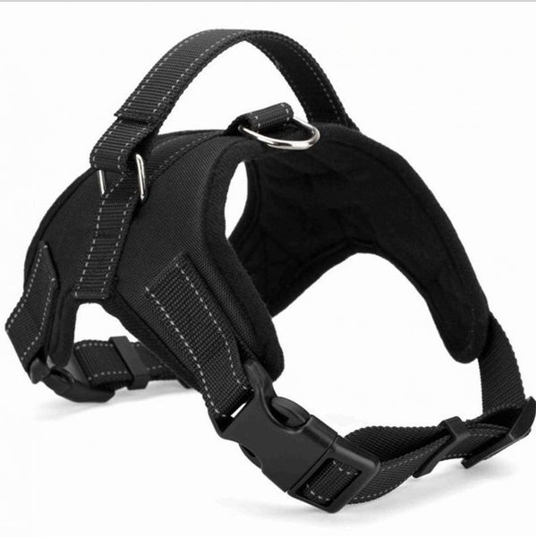 Durazon Nylon Reflective Harness with Lead - XL - Black Carousel 2