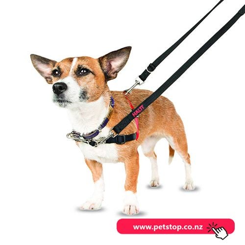 Halti Harness Dog Training Harness-Small 30-60cm Carousel 2