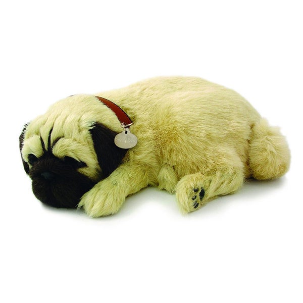 Perfect Petzzz - Pug Bundle Carousel 1