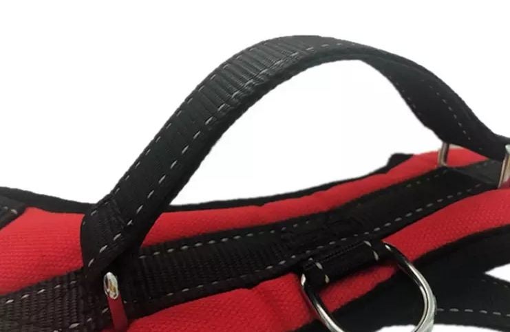 Durazon Nylon Reflective Harness with Lead - XL - Black Carousel 20