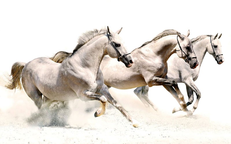 1 PANEL FREE SHIPPING - Large Canvas Print - Abstract - Horse Art Carousel 1